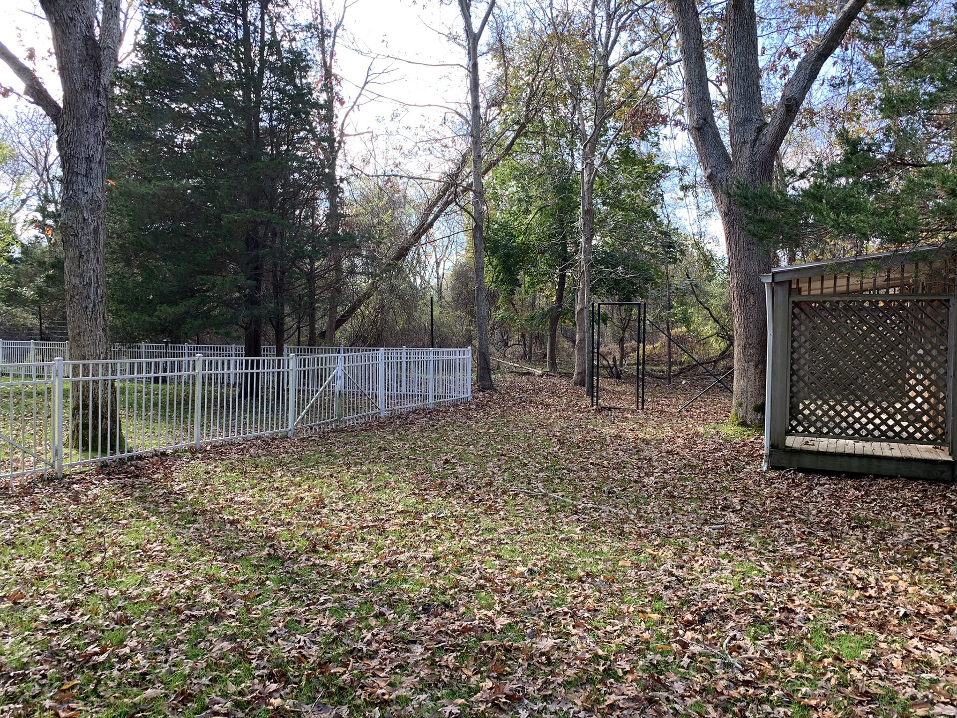 Rear yard of a Hamptons home with fallen leaves spread over the grass