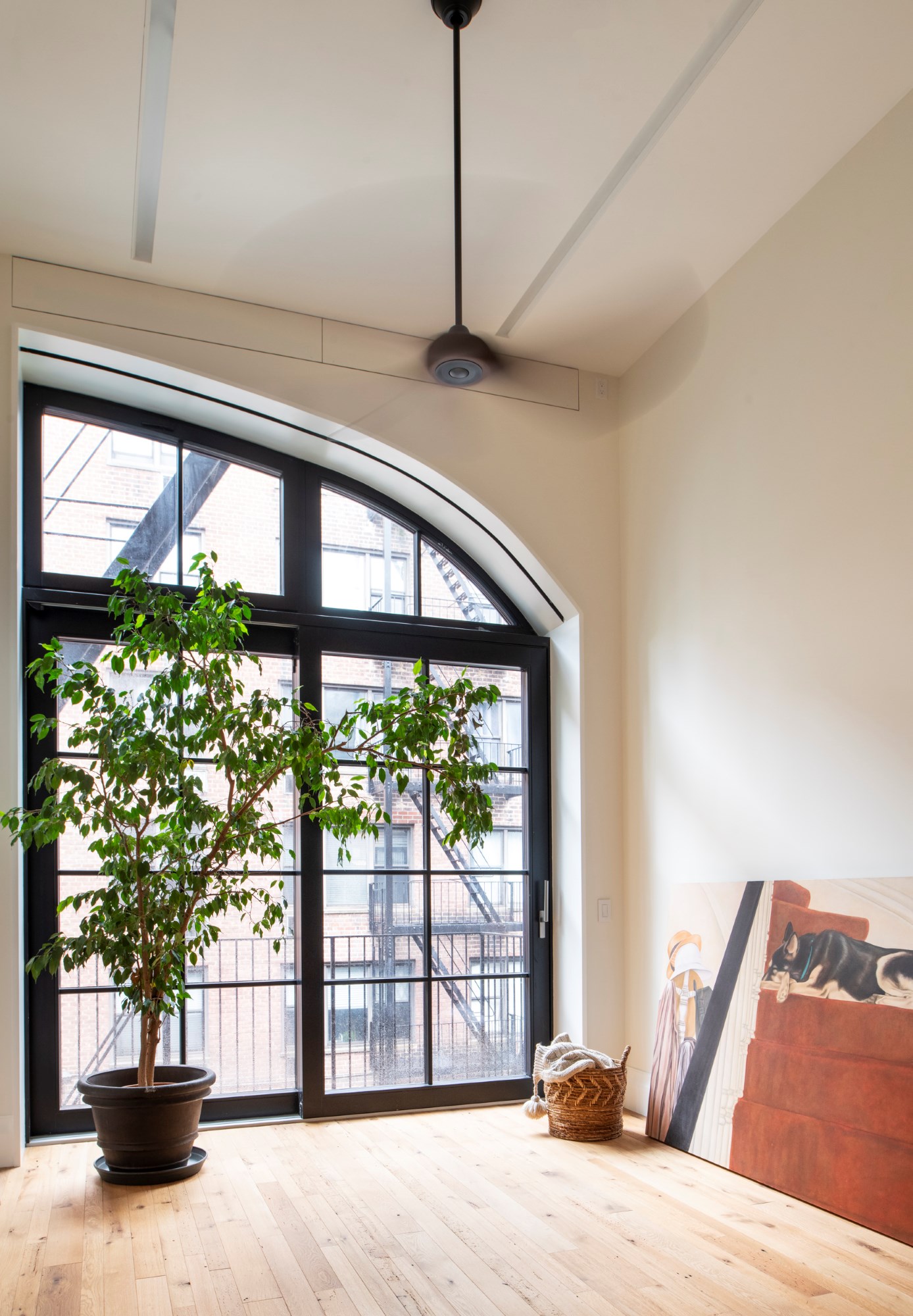 Studio space in a Manhattan apartment. A large semi-arched window takes up most of the rear wall. A large painting leans against the right wall, next to a basket of blankets. On the left of the room sits a large house plant. A large black ceiling fan is running.